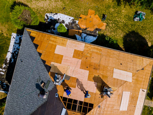 Best Affordable Roofing Company  in Montesano, WA